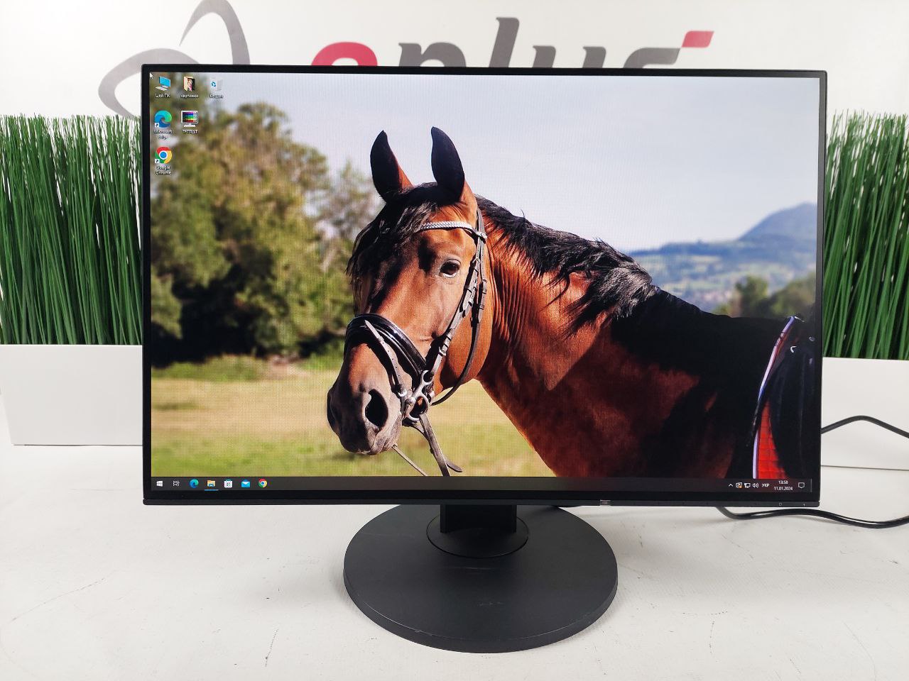 5048　超狭額　EIZO　EV2455　24.1型　WUXGA　IPS　LED 5048 超狭額 EIZO EV2455 24.1型 WUXGA IPS LED Eizo FlexScan